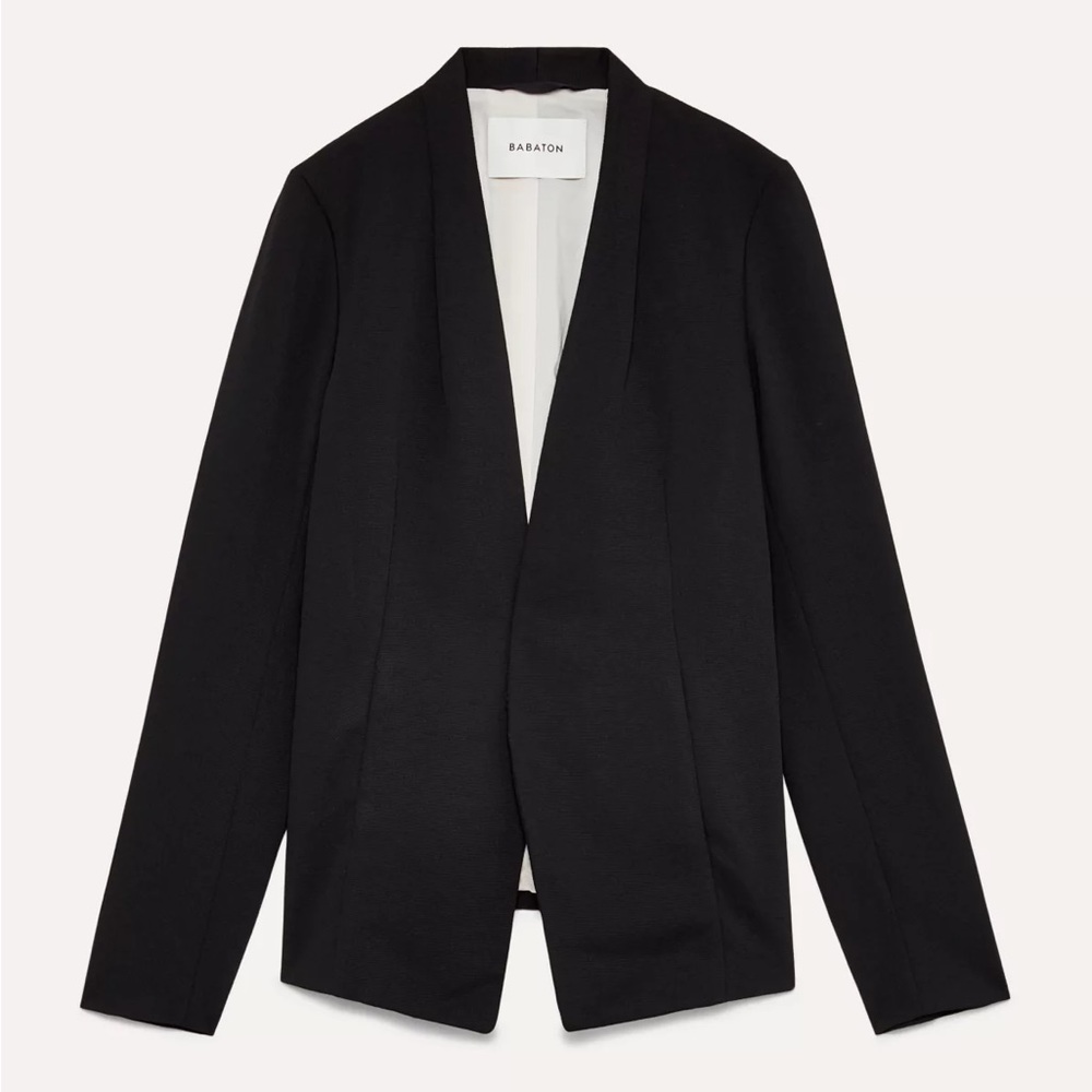 Babaton Aritzia Keith Jacket